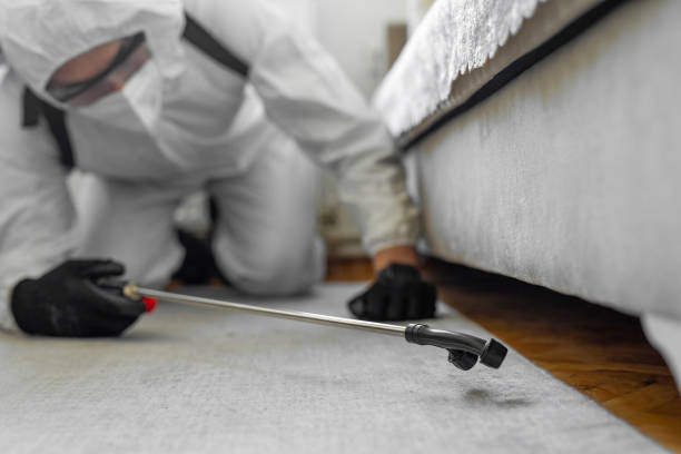 Professional Termite Control technician working in Forest Lake, IL