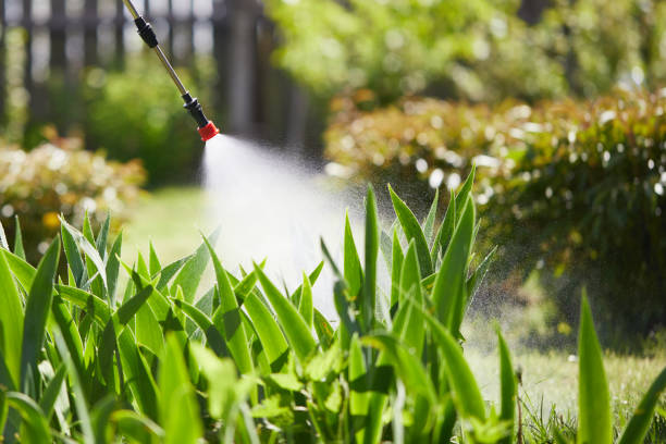 24/7 Emergency Termite Control experts in Forest Lake, IL