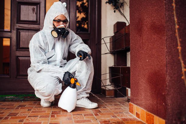 Reliable Termite Control contractor in Forest Lake, IL by Nex Pest Control