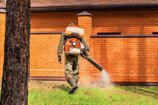 Top rated local Termite Control specialists in Forest Lake, IL